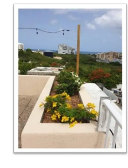 Apartament Fun Under The Sun! Cupecoy  0*, Cupecoy (Sint Maarten) Sint Maarten